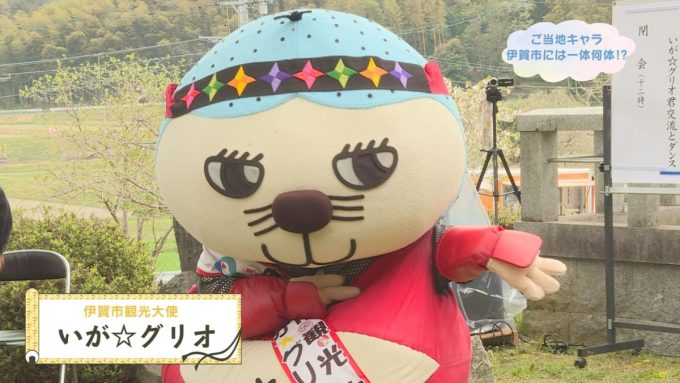 5月11日は「ご当地キャラの日」✿